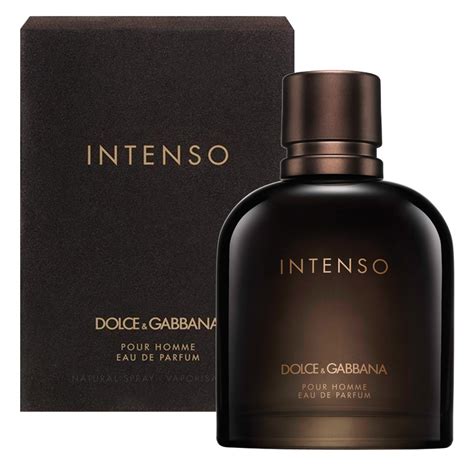 dolce gabbana pour homme intenso|dolce and gabbana intenso fragrantica.